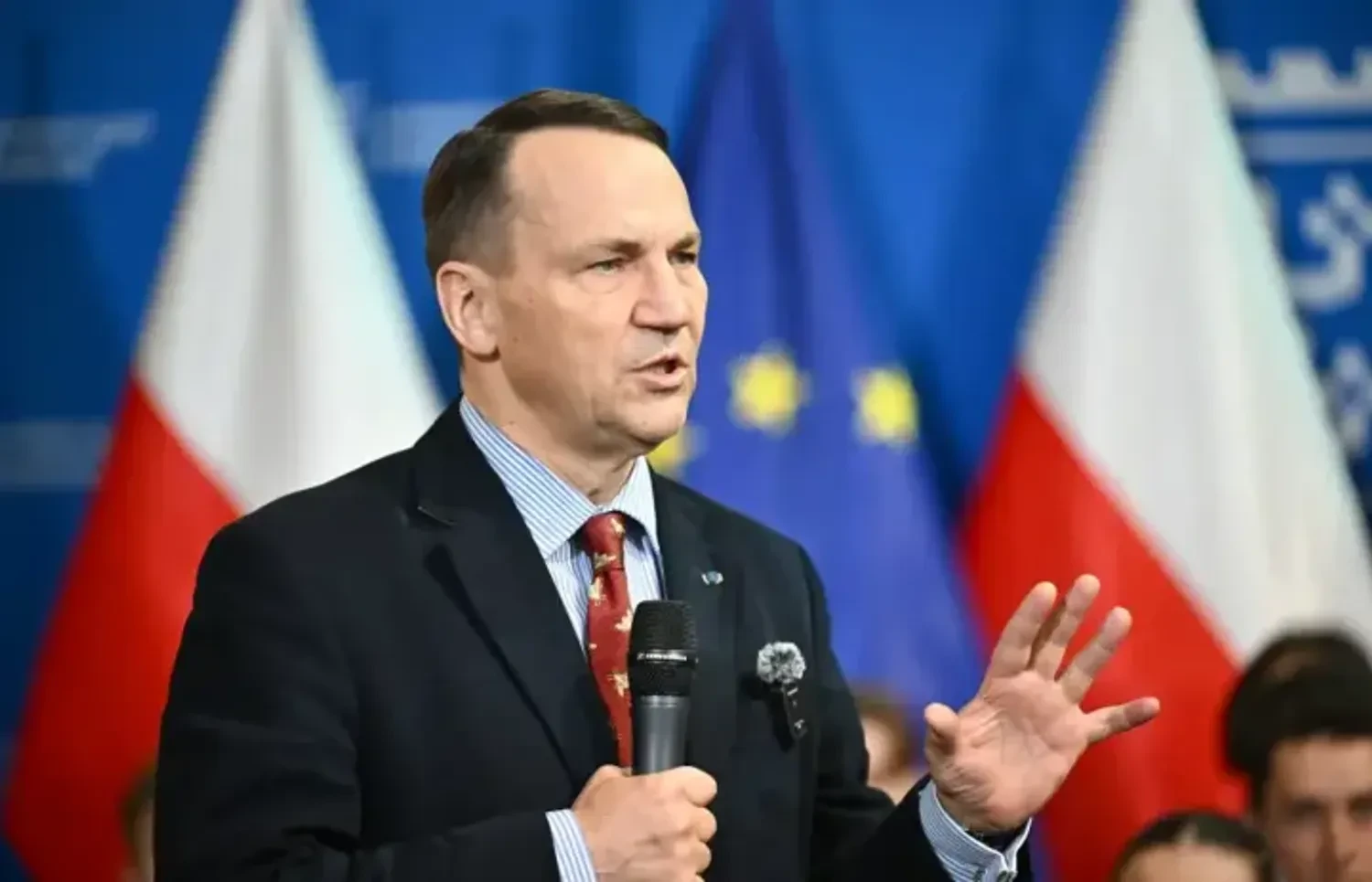 Україна може стати членом ЄС на початку 2030-х років – Сікорський