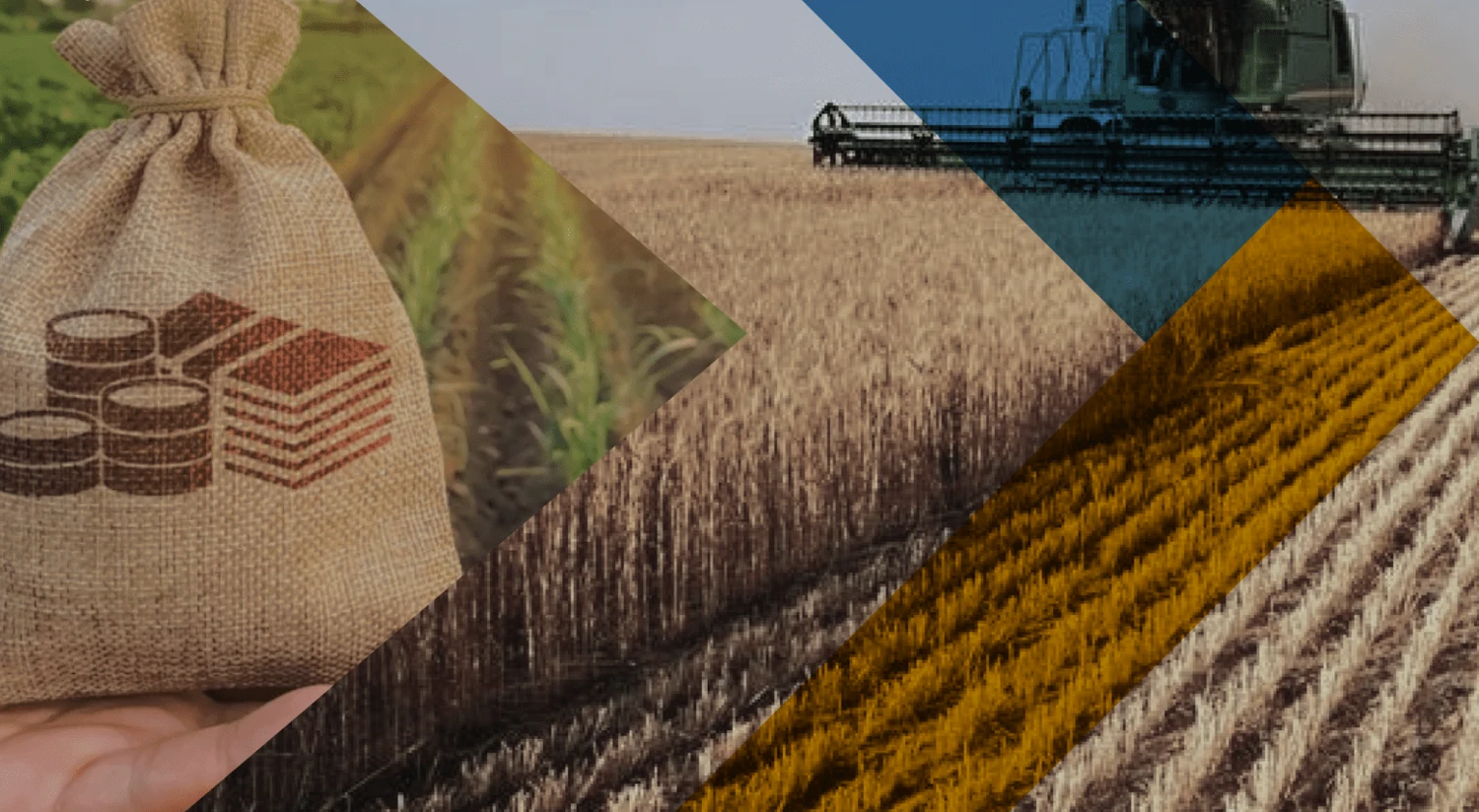 рф готує масову конфіскацію земельних паїв на окупованій Луганщині – ЦНС