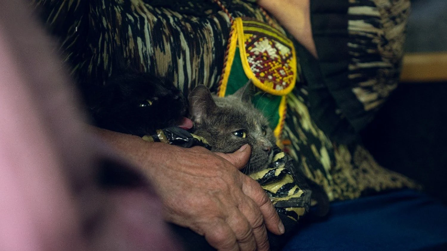 Понад 130 тис. українців евакуйовано за рік, житло потрібне 4,6 млн переселенців – віцепрем’єр