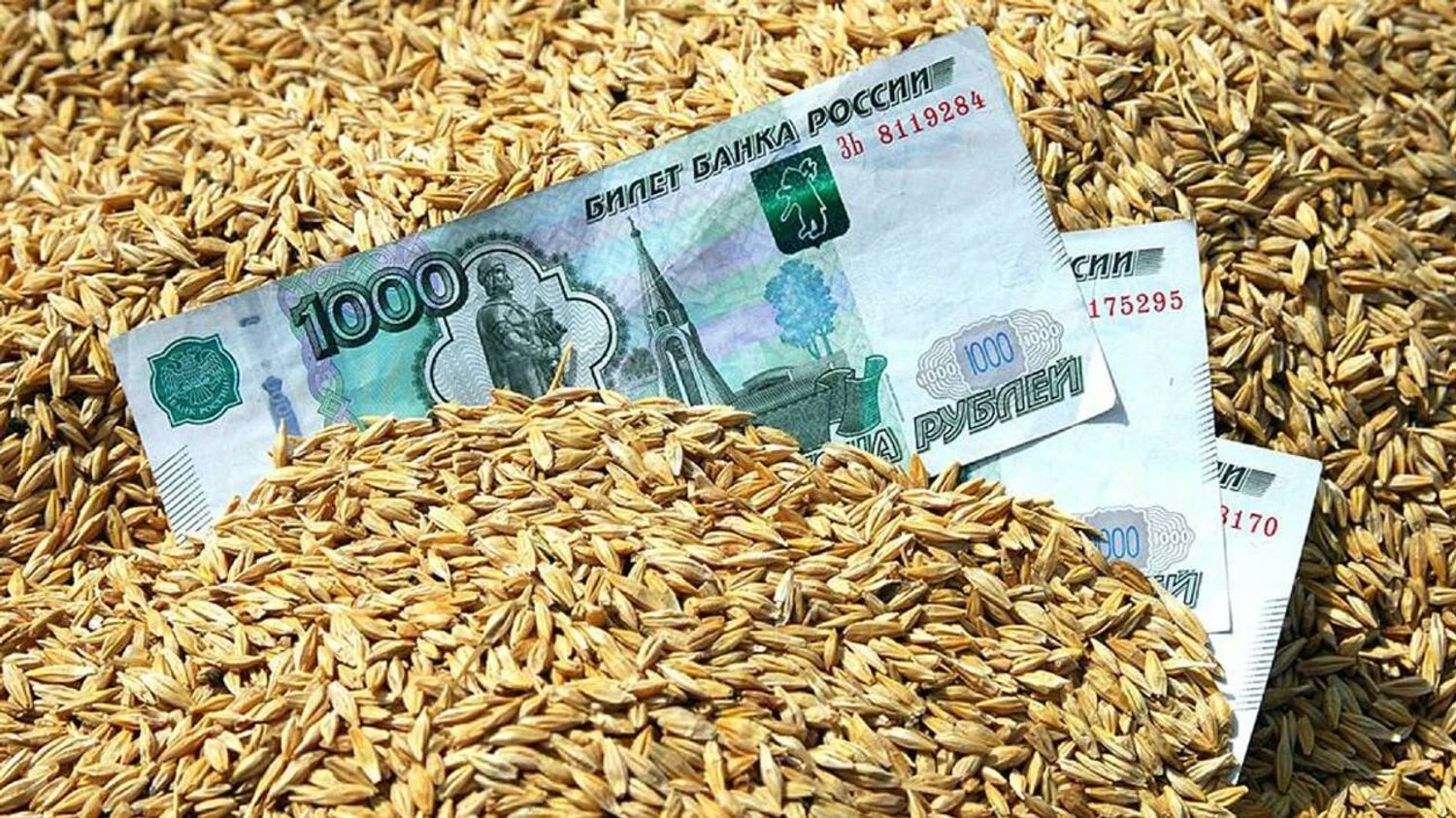 росія різко скорочує фінансування АПК через дефіцит бюджету – розвідка