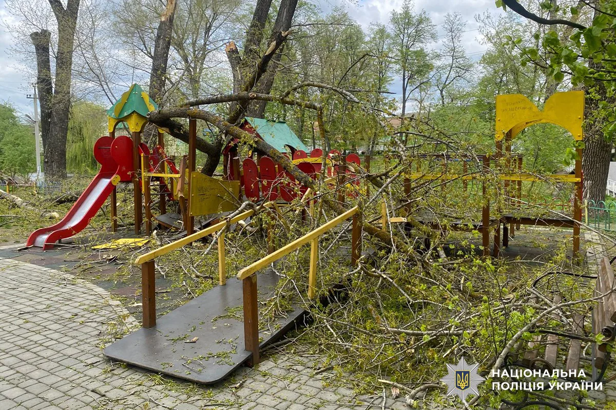 Дерева впали на дитячий майданчик на Буковині, травмовано двох дівчаток