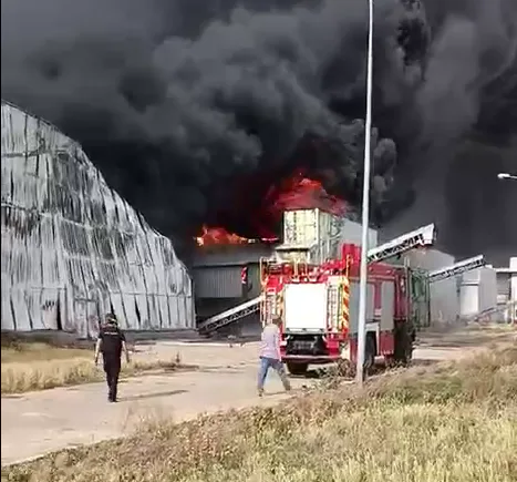 Ворог ударив КАБами по найбільшій в Європі птахофабриці